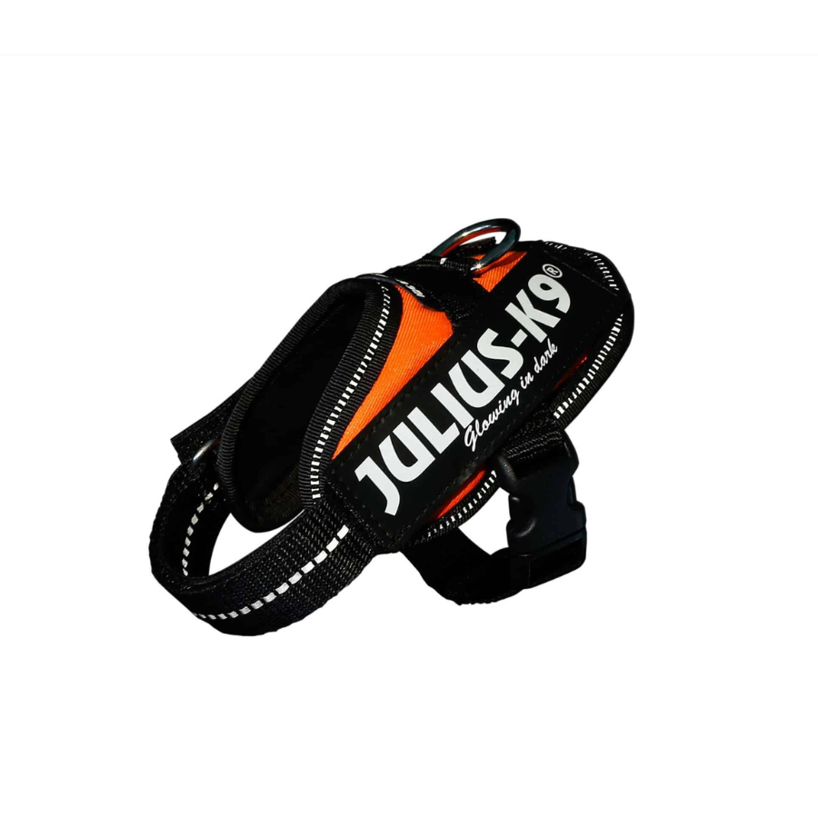 Arn&eacute;s Julius K9 IDC UV para perros color Naranja, , large Imagen numero 1